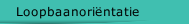 Loopbaanori&euml;ntatie