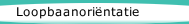 Loopbaanori&euml;ntatie